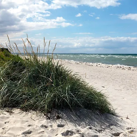 Buchenweg Schwalbennest *