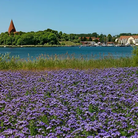 Buchenweg Schwalbennest