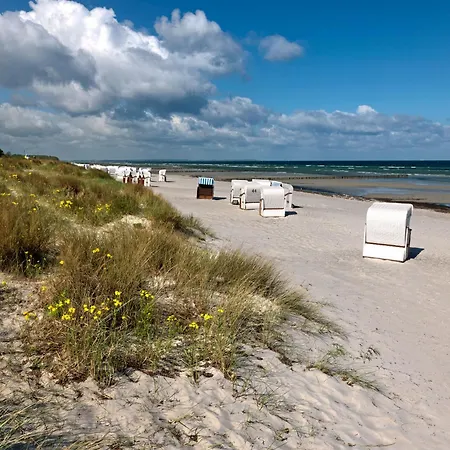 Buchenweg Schwalbennest Apartment Insel Poel