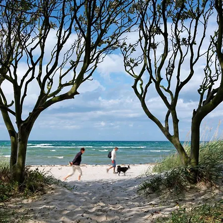 Buchenweg Schwalbennest Insel Poel